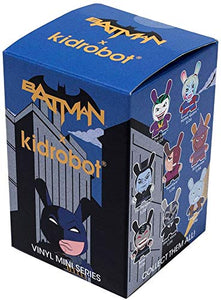Batman x Kidrobot 3" Dunny Figures Blind Box
